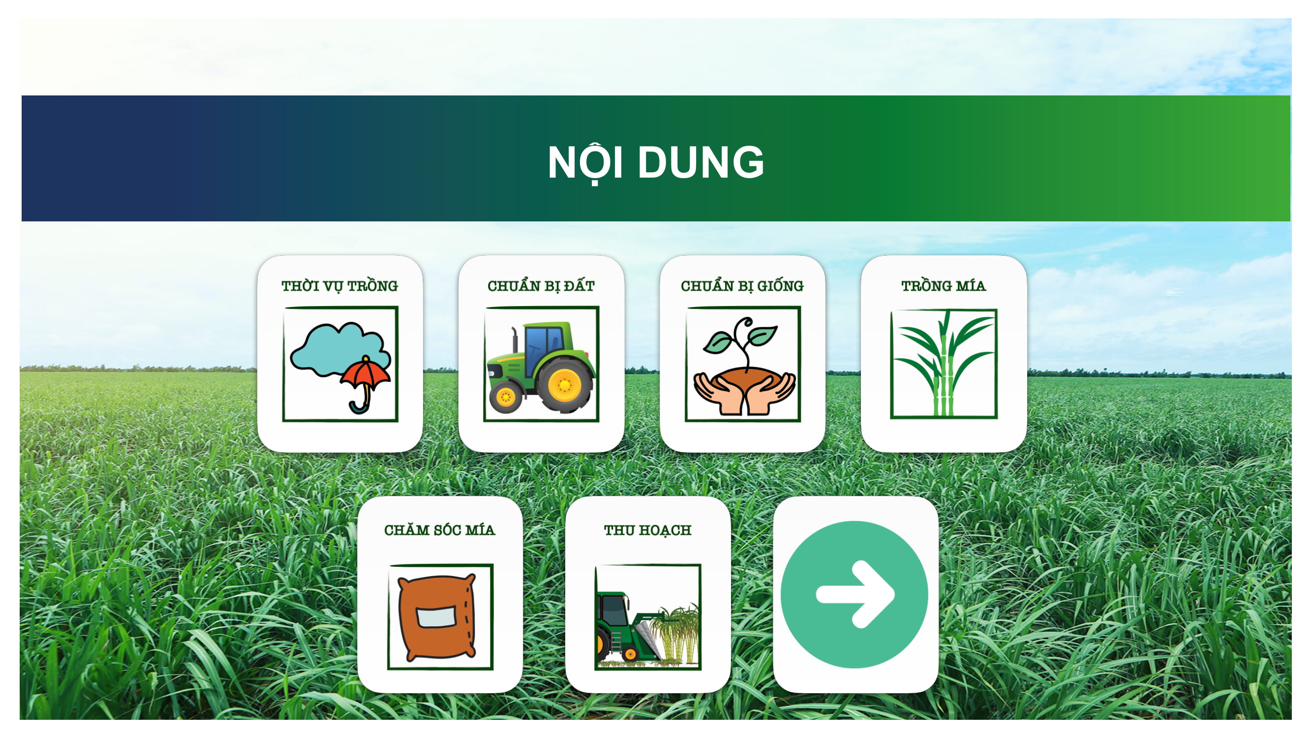 Cẩm nang trồng mía